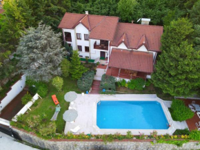 Sapanca Villa Premium